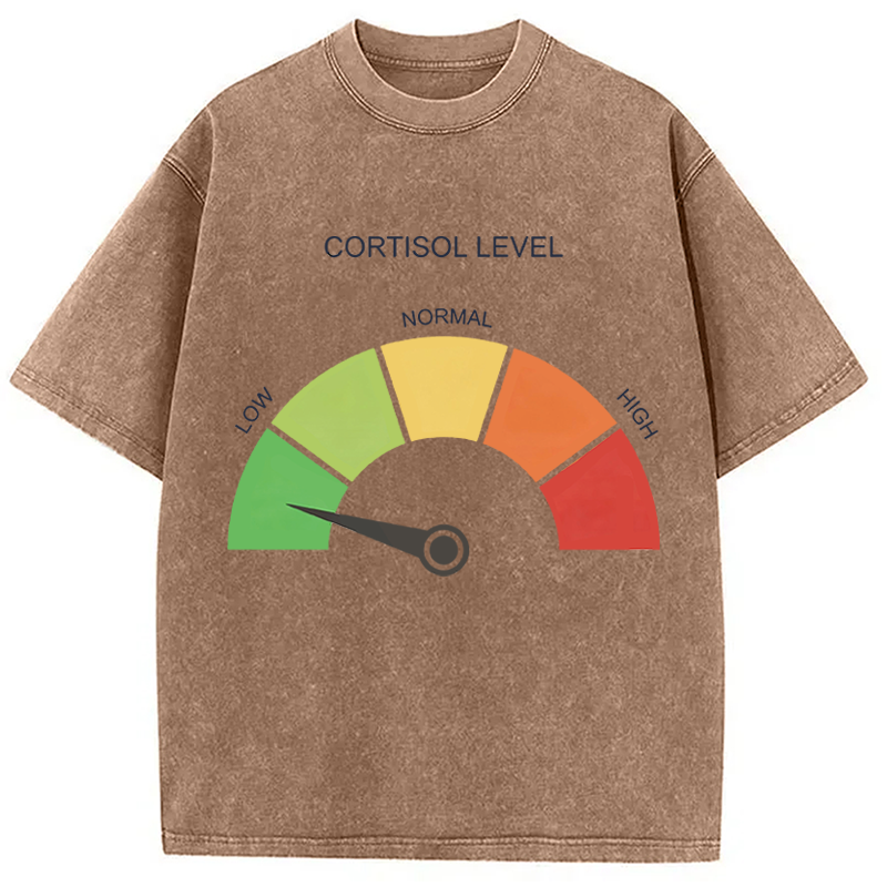 Modecanvas Cortisol Level Meme DTG Printing Washed T-Shirt