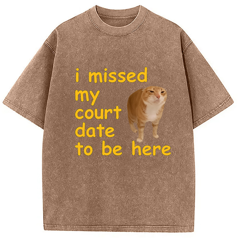 Modecanvas I Missed My Court Date To Be Here DTG Printing Washed T-Shirt-modecanvas