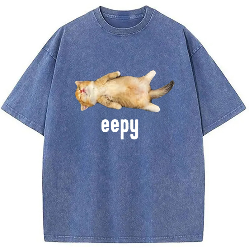 Modecanvas Silly Sleepy Cat Meme Washed T-Shirt-modecanvas