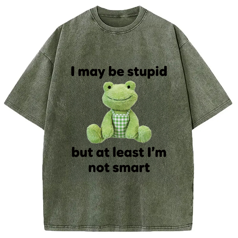 Modecanvas I May Be Stupid Alcohol Lover DTG Printing Washed T-Shirt