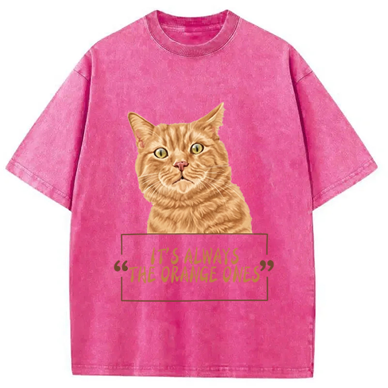 Modecanvas It Always Cat Meme DTG Printing Washed T-Shirt