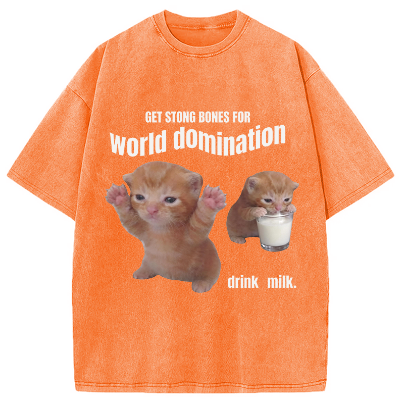 Modecanvas World Domination Cat Meme DTG Printing Washed T-Shirt