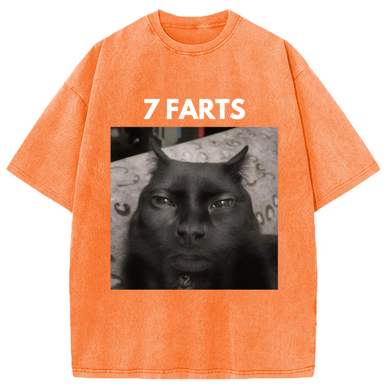 Modecanvas 7 Farts Silly Meme Cat Washed T-Shirt-modecanvas