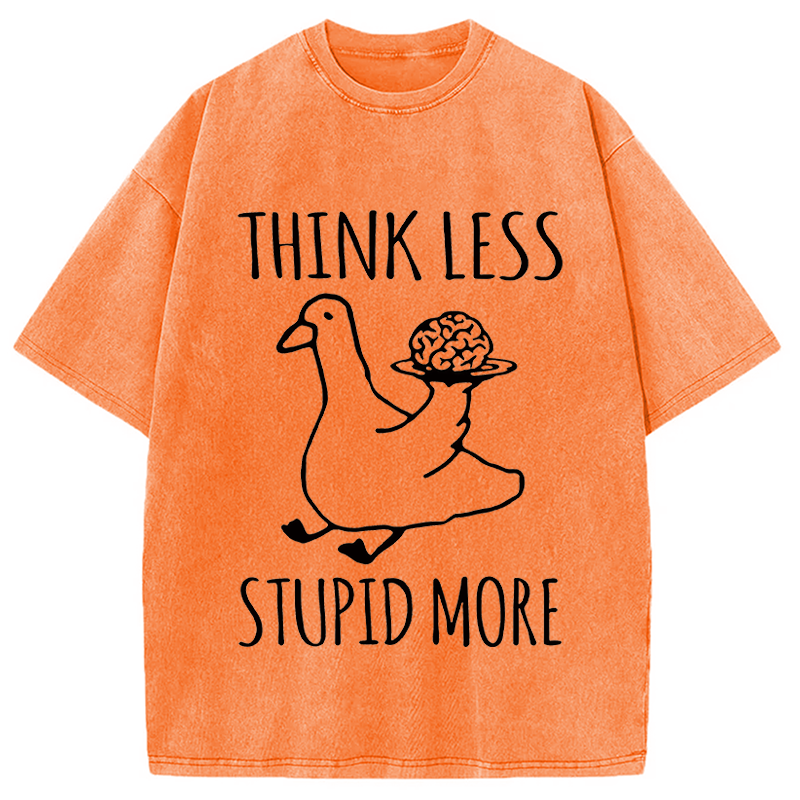 Modecanvas Foolish Goose Is Even More Foolish DTG Printing Washed T-Shirt