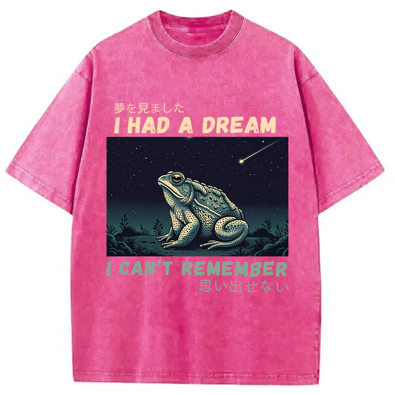 Modecanvas I Had A Dream Toad DTG Printing Washed T-Shirt