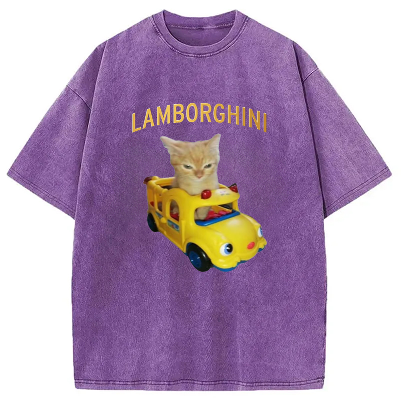 Modecanvas Car Cat Funny Meme Washed T-Shirt