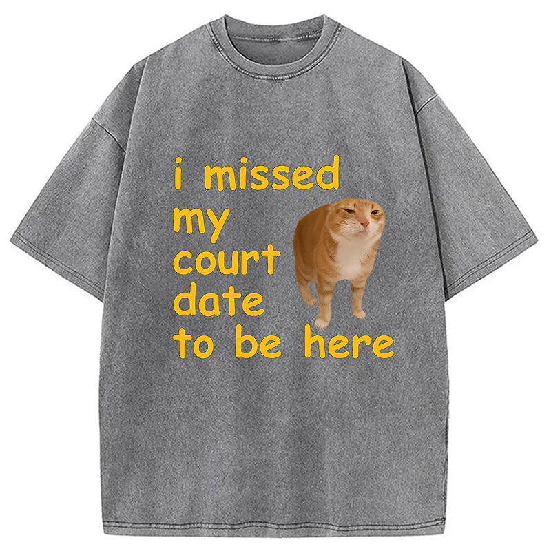 Modecanvas I Missed My Court Date To Be Here DTG Printing Washed T-Shirt-modecanvas