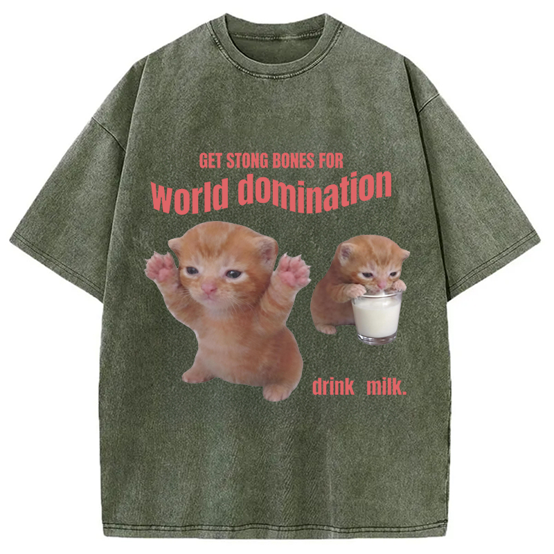 Modecanvas World Domination Cat Meme DTG Printing Washed T-Shirt