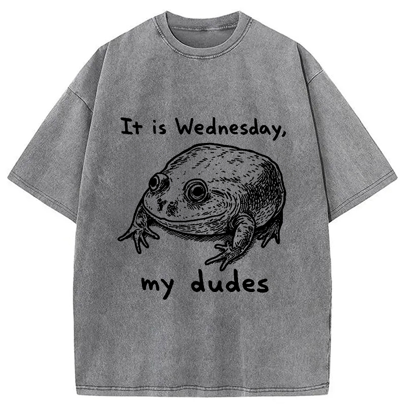 Modecanvas Wednesday Frog Vintage Washed T-Shirt-modecanvas