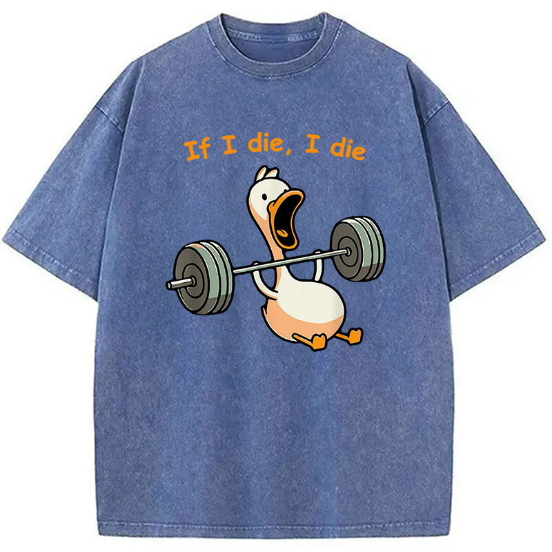 Modecanvas I Die Funny Meme Washed T-Shirt