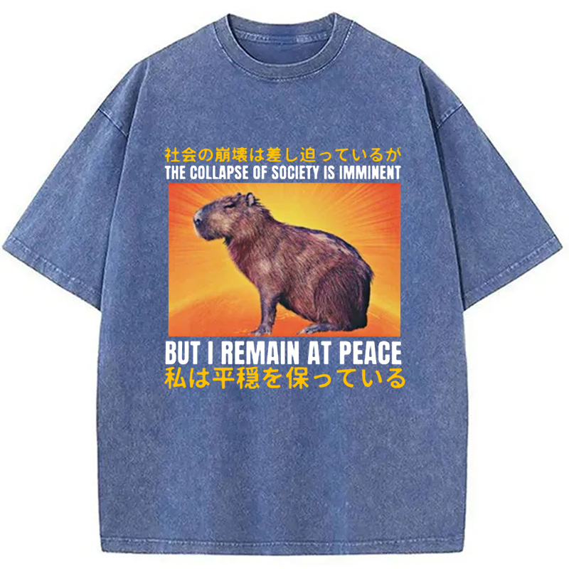 Modecanvas The Collapse of Society is Imminent Washed T-Shirt