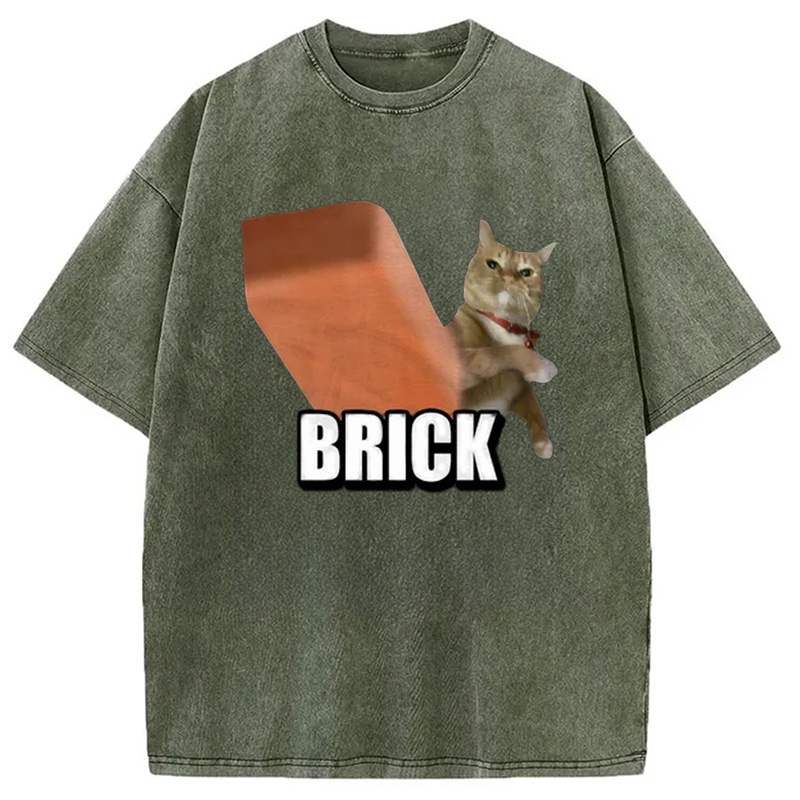 Modecanvas Funny Cat Throwing Brick Washed T-Shirt
