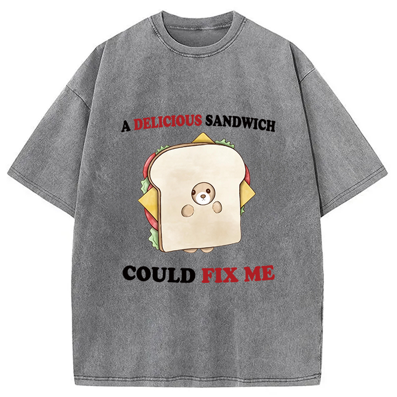 Modecanvas Delicious Sandwich Could Fix Me DTG Printing Washed T-Shirt