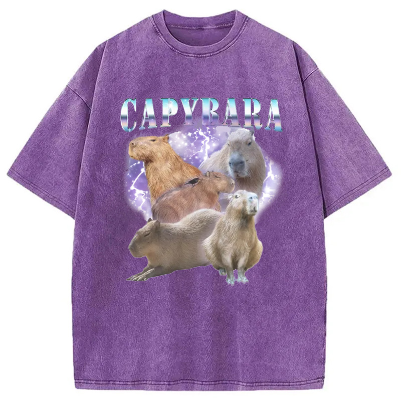 Modecanvas Vintage Capybara Washed T-Shirt