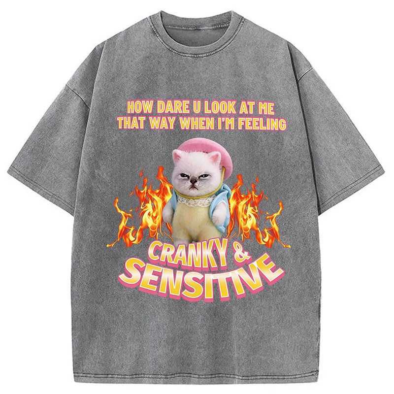 Modecanvas Cranky Kitty DTG Printing Washed T-Shirt