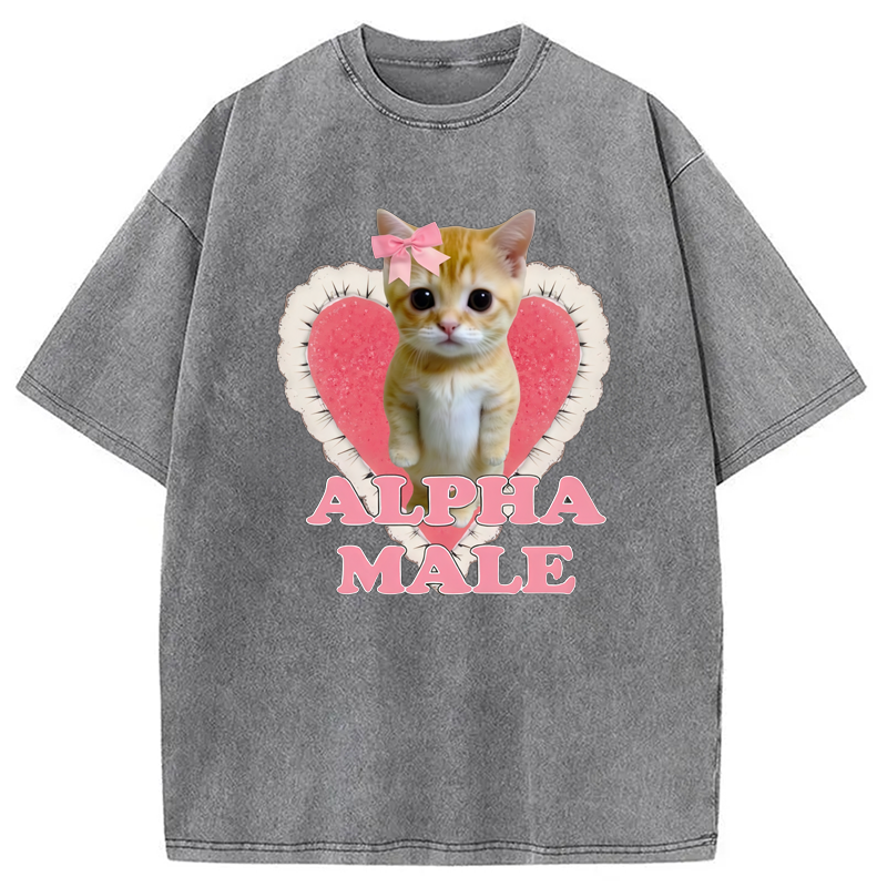 Modecanvas Alpha Male Kitten Washed T-Shirt