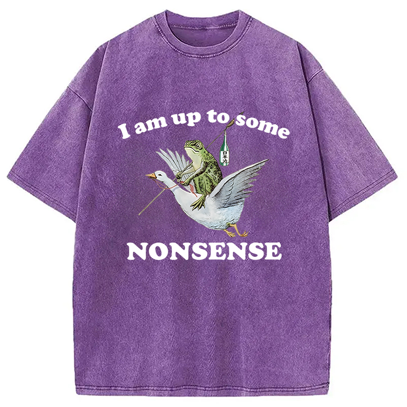 Modecanvas Frog Riding A Goose Washed T-Shirt