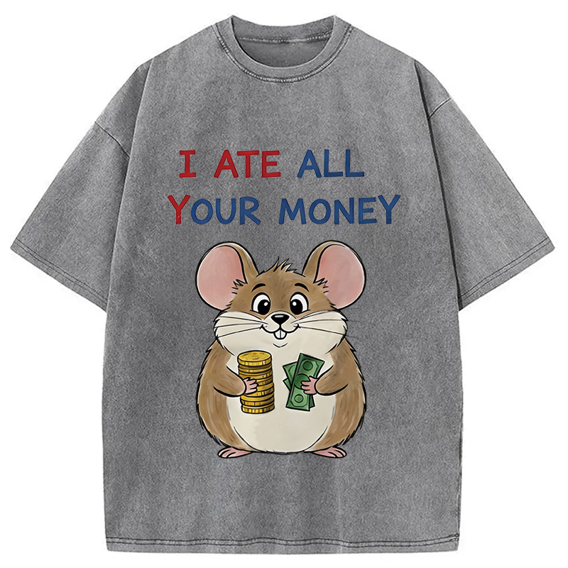 Modecanvas I Ate All Your Money Meme DTG Printing Washed T-Shirt-modecanvas