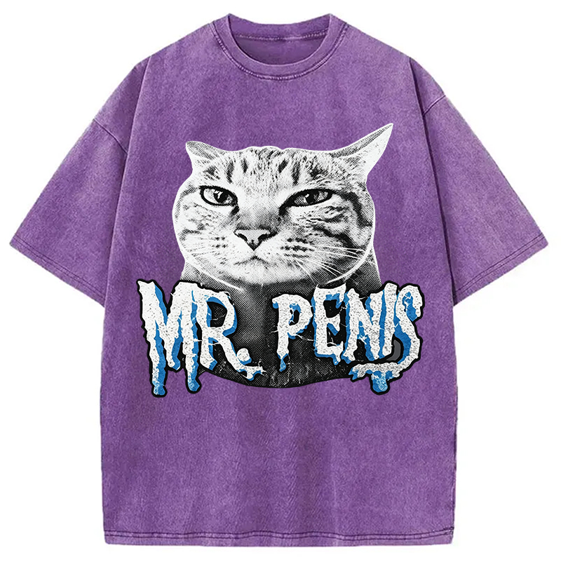 Modecanvas Mr Pen is Cat DTG Printing Washed T-Shirt