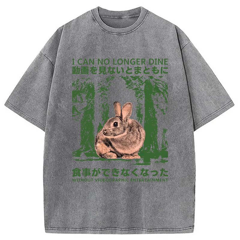 Modecanvas Vintage Japanese Horror Bunny DTG Printing Washed T-Shirt