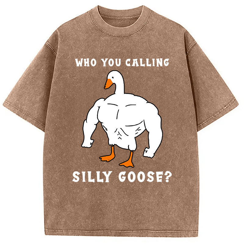 Modecanvas Who You Calling Silly Goose Funny Gym Meme Washed T-Shirt