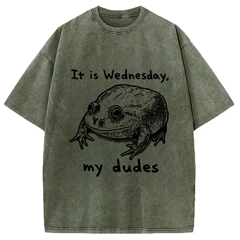 Modecanvas Wednesday Frog Vintage Washed T-Shirt-modecanvas