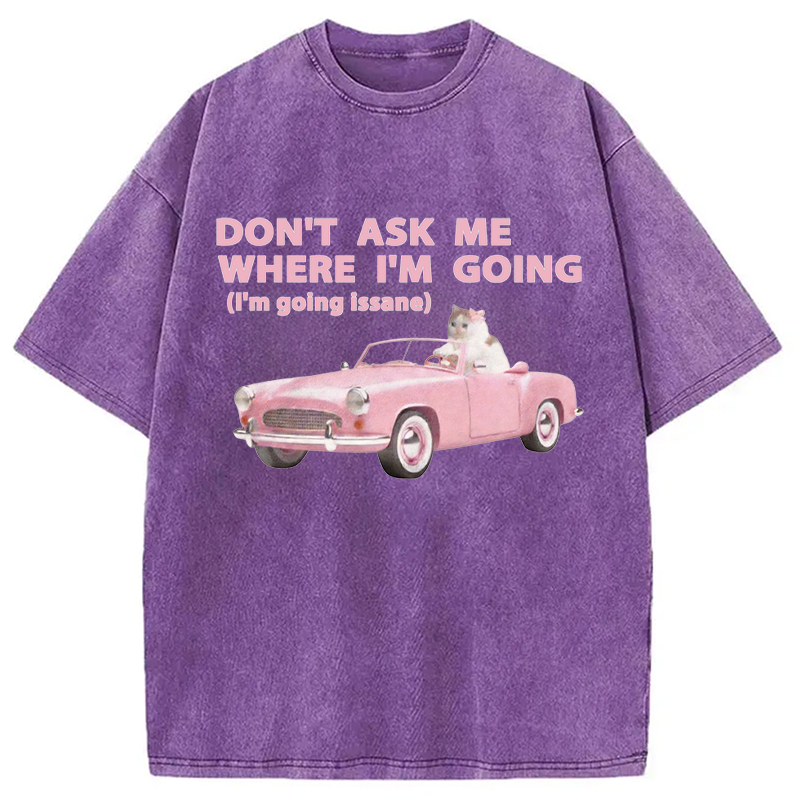 Modecanvas Im Going Insane Cat Meme DTG Printing Washed T-Shirt