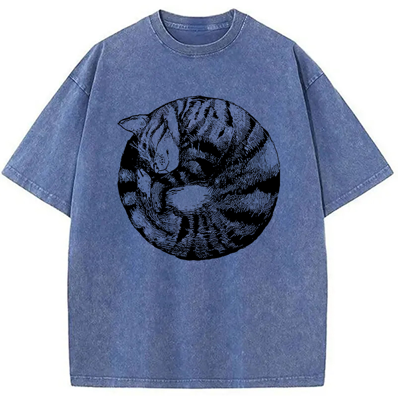 Modecanvas A Plate Of Cat Washed T-Shirt