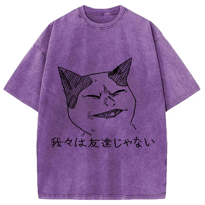 Modecanvas Angry Cat Funny Washed T-Shirt