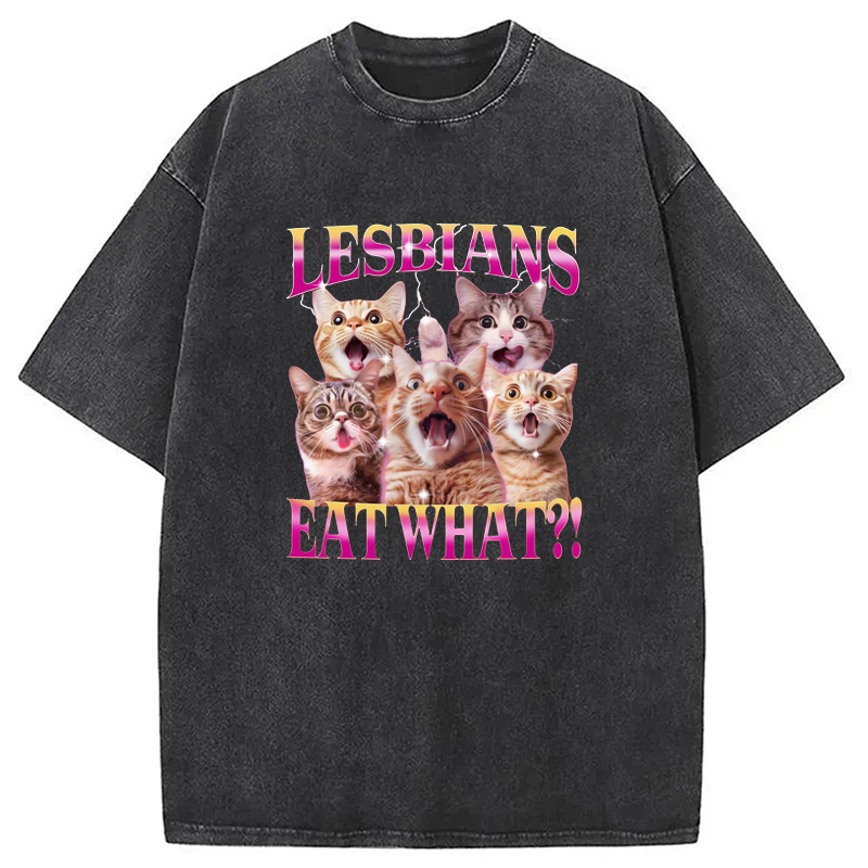 Modecanvas Funny Lesbian Cat Washed T-Shirt