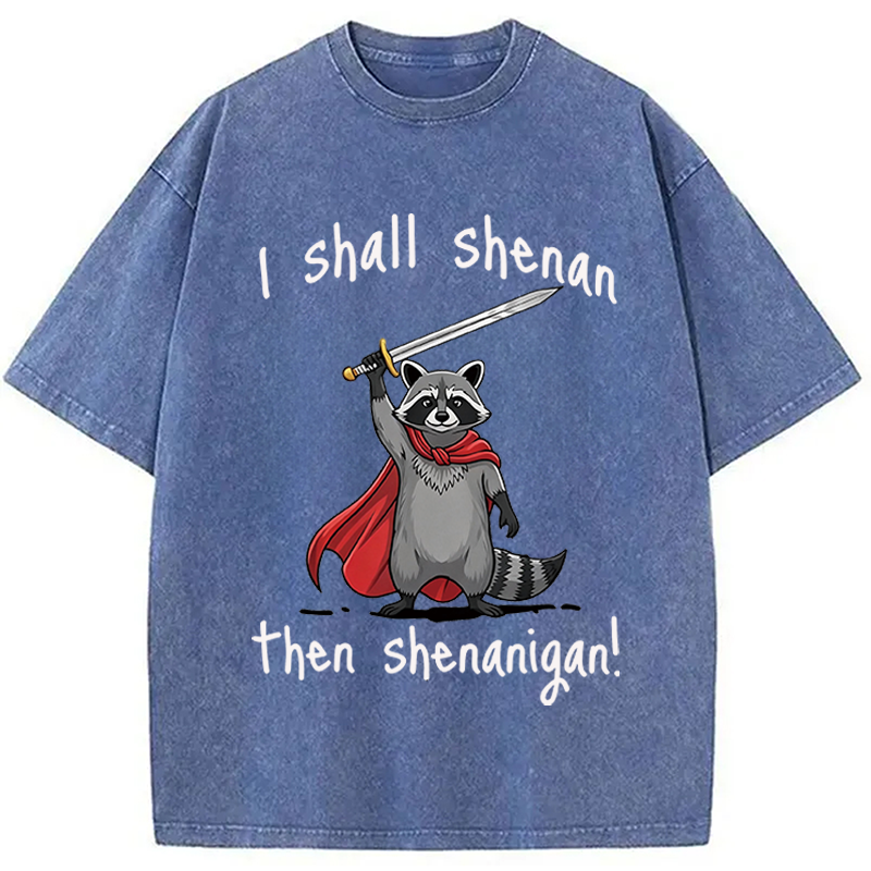 Modecanvas I Shall Shenan Cute Raccoon Meme DTG Printing Washed T-Shirt