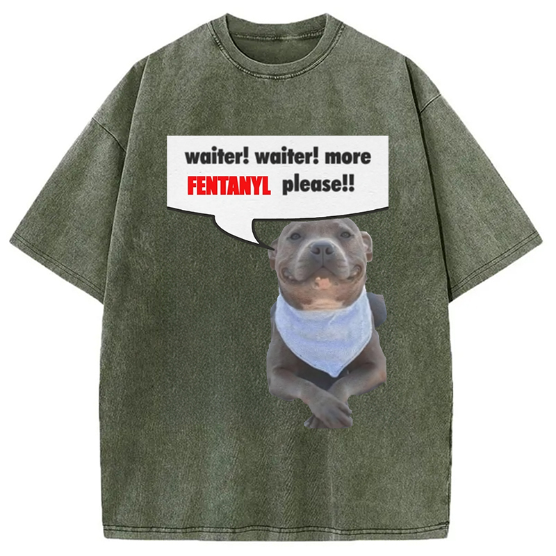 Modecanvas Waiter Waiter More Fentanyl Meme Washed T-Shirt