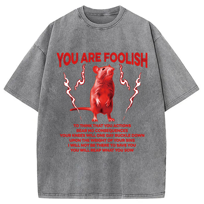 Modecanvas You Are Foolish Rat DTG Printing Washed T-Shirt