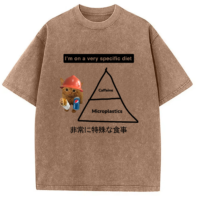 Modecanvas A Very Specific Diet Cat Meme Washed T-Shirt