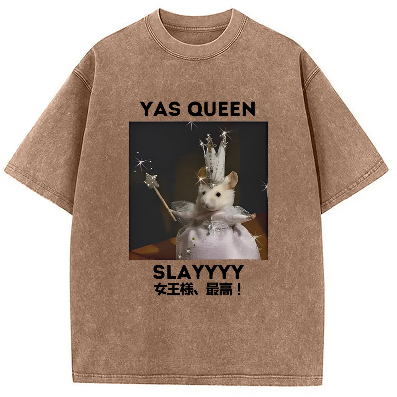 Modecanvas Yasss Queen Slay Meme Washed T-Shirt
