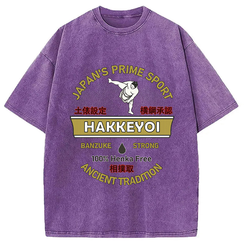 Modecanvas Sumo Japanese Vintage Washed T-Shirt