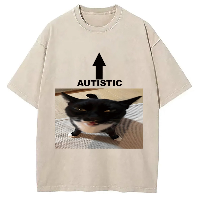 Modecanvas Autistic Cat Washed T-Shirt