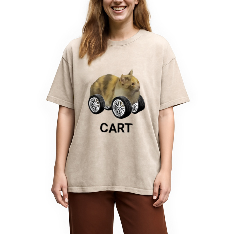 Modecanvas Cart Cat Meme Washed T-Shirt