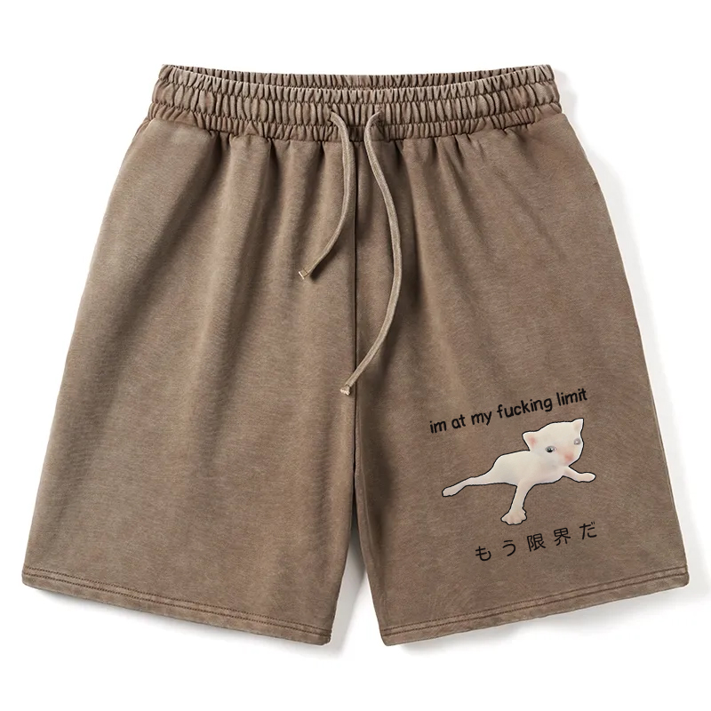 Modecanvas Cat Reaching Its Limit Washed Short