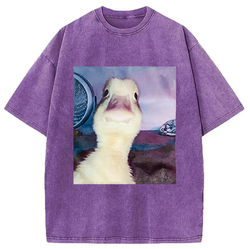 Modecanvas Duck Stare Funny Meme DTG Printing Washed T-Shirt