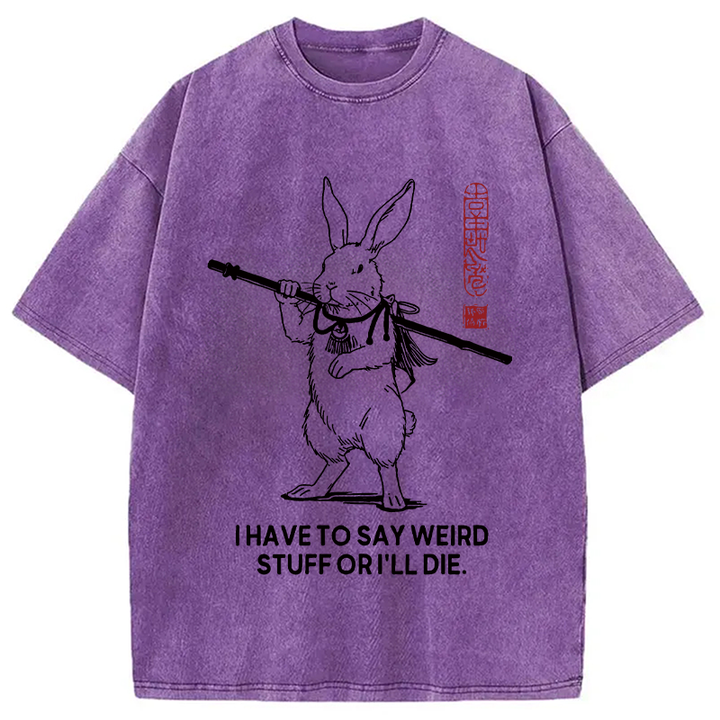 Modecanvas I Have To Say DTG Printing Washed T-Shirt