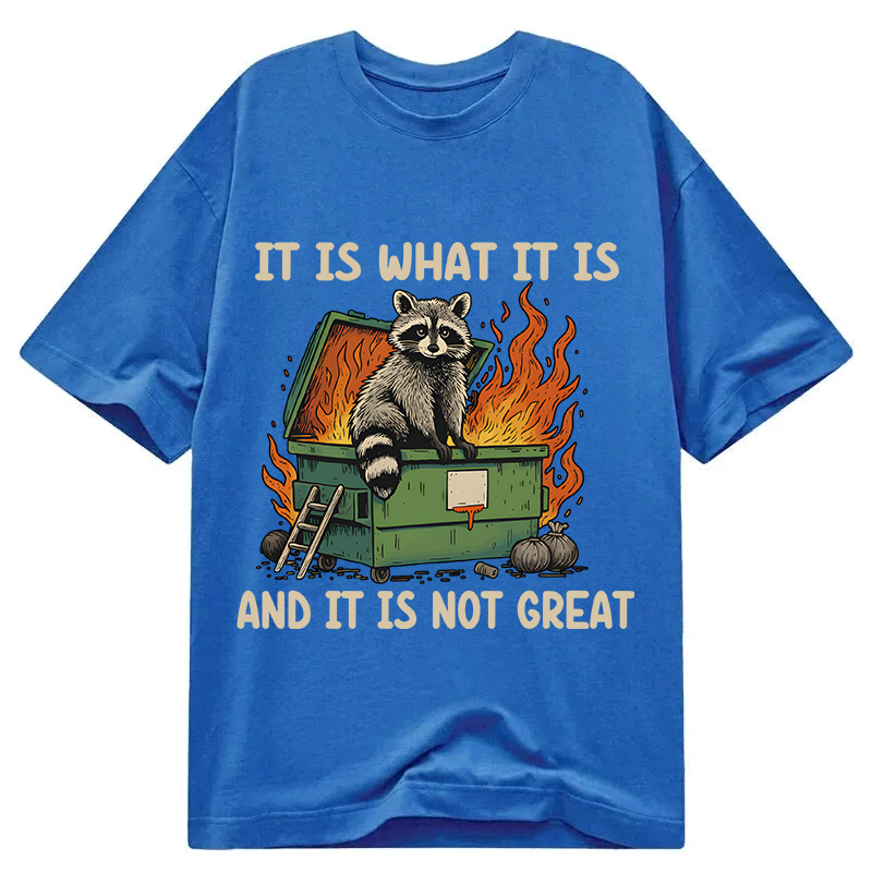 Modecanvas It Is What It Is Dumpster Fire Funny Raccoon Meme DTG Printing Classic T-Shirt-modecanvas