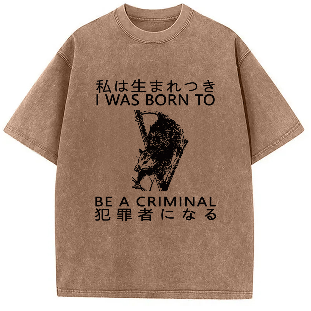 Modecanvas I Was Born To Be A Criminal Washed T-Shirt