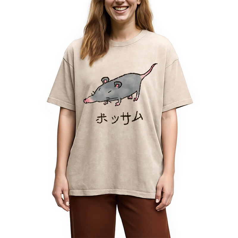 Modecanvas Possamu Rat Washed T-Shirt