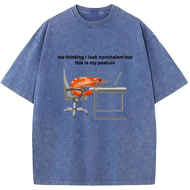 Modecanvas This Is My Posture Washed T-Shirt