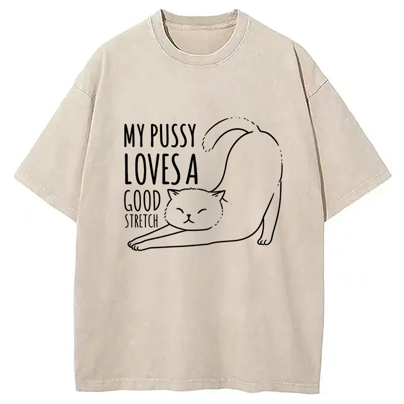 Modecanvas Funny Cat Washed T-Shirt
