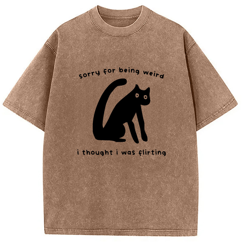 Modecanvas Sorry For Being Weird Washed T-Shirt