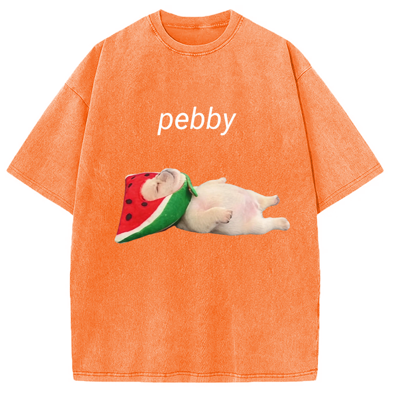Modecanvas Funny Pibble Dog Meme DTG Printing Washed T-Shirt