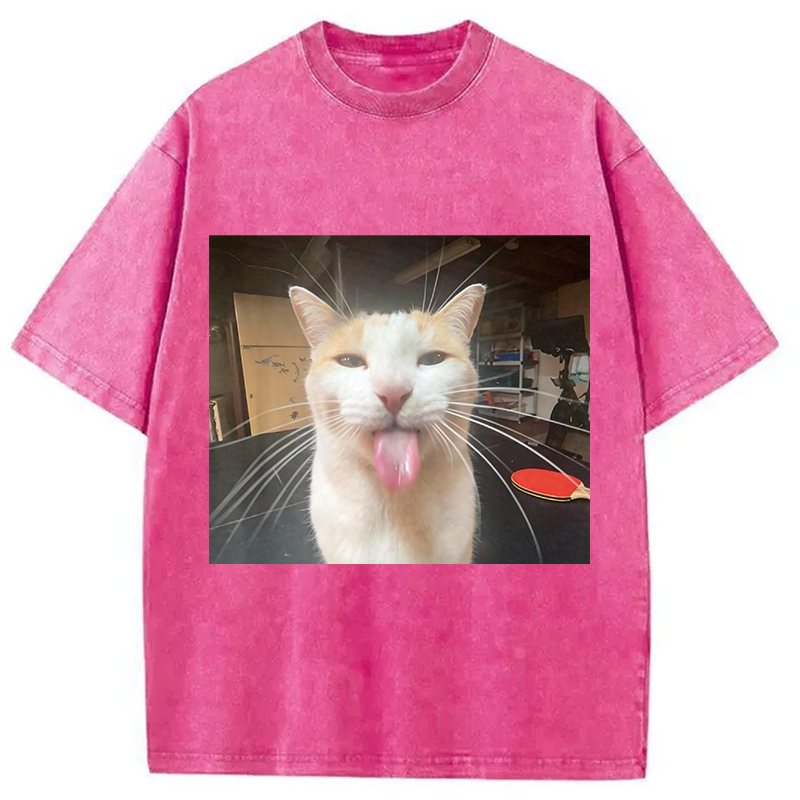 Modecanvas Silly Bleh Funny Cat Meme DTG Printing Washed T-Shirt