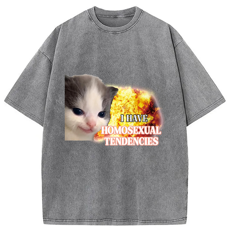 Modecanvas I Have Homosexual Tendencies Evil Kitty Meme DTG Printing Washed T-Shirt
